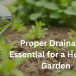 Why Proper Drainage Is Essential for a Healthier Garden in Boerne, Texas